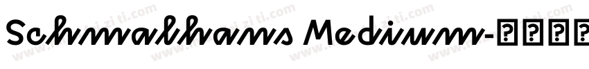 Schmalhans Medium字体转换